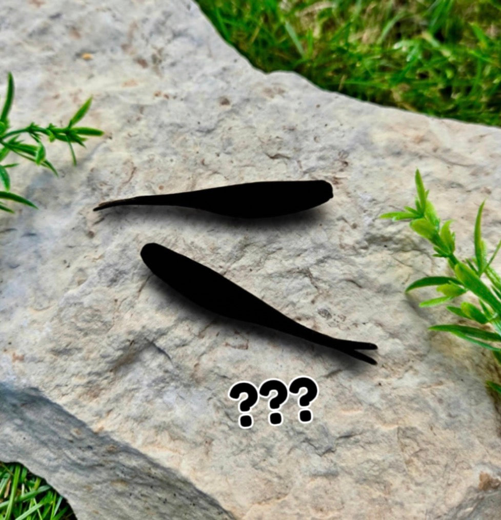 2.5” Micro Split Tail Minnow - 12 Pack
