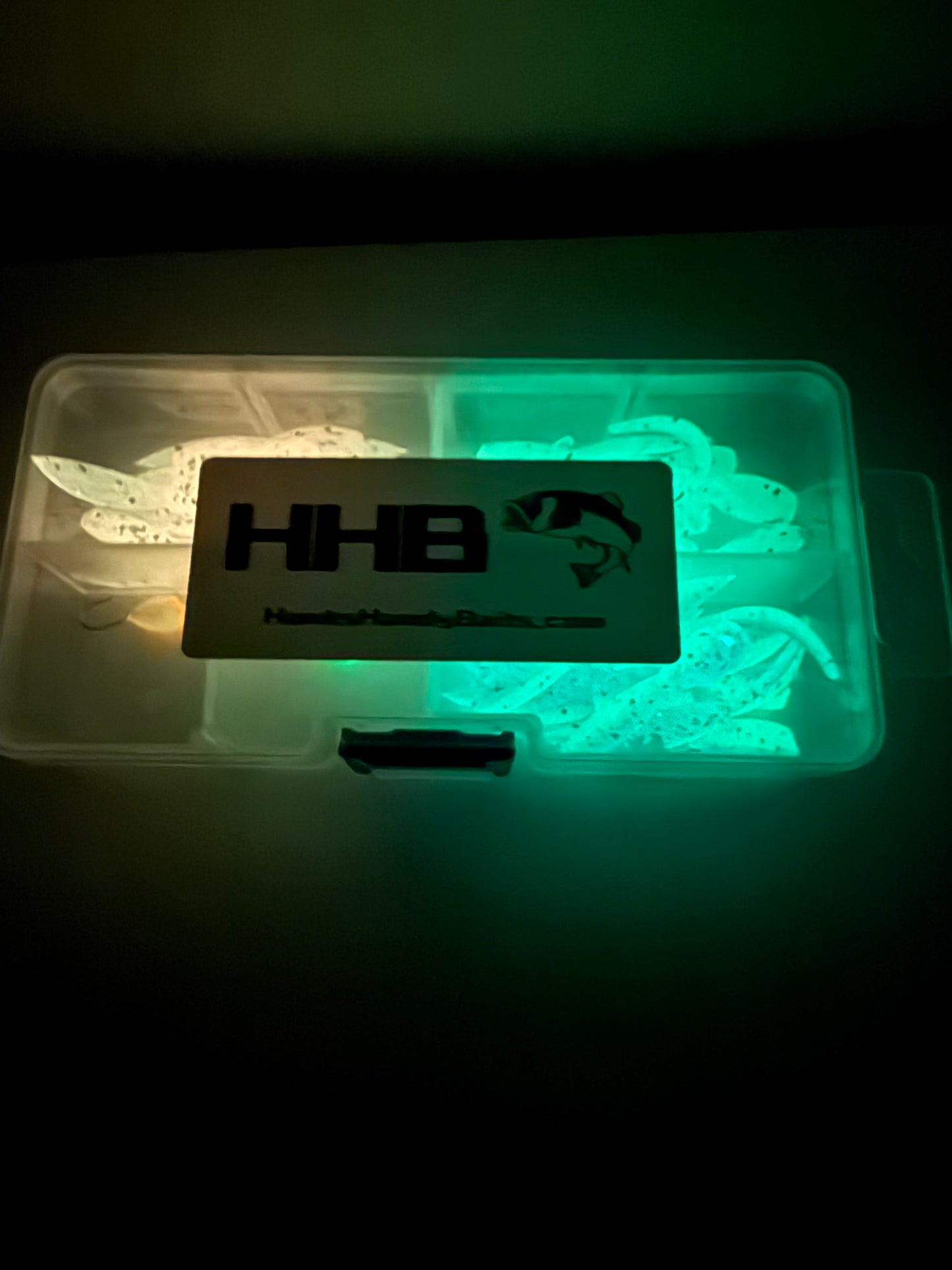 2025 Glow in the Dark Holiday Tadpole Kit