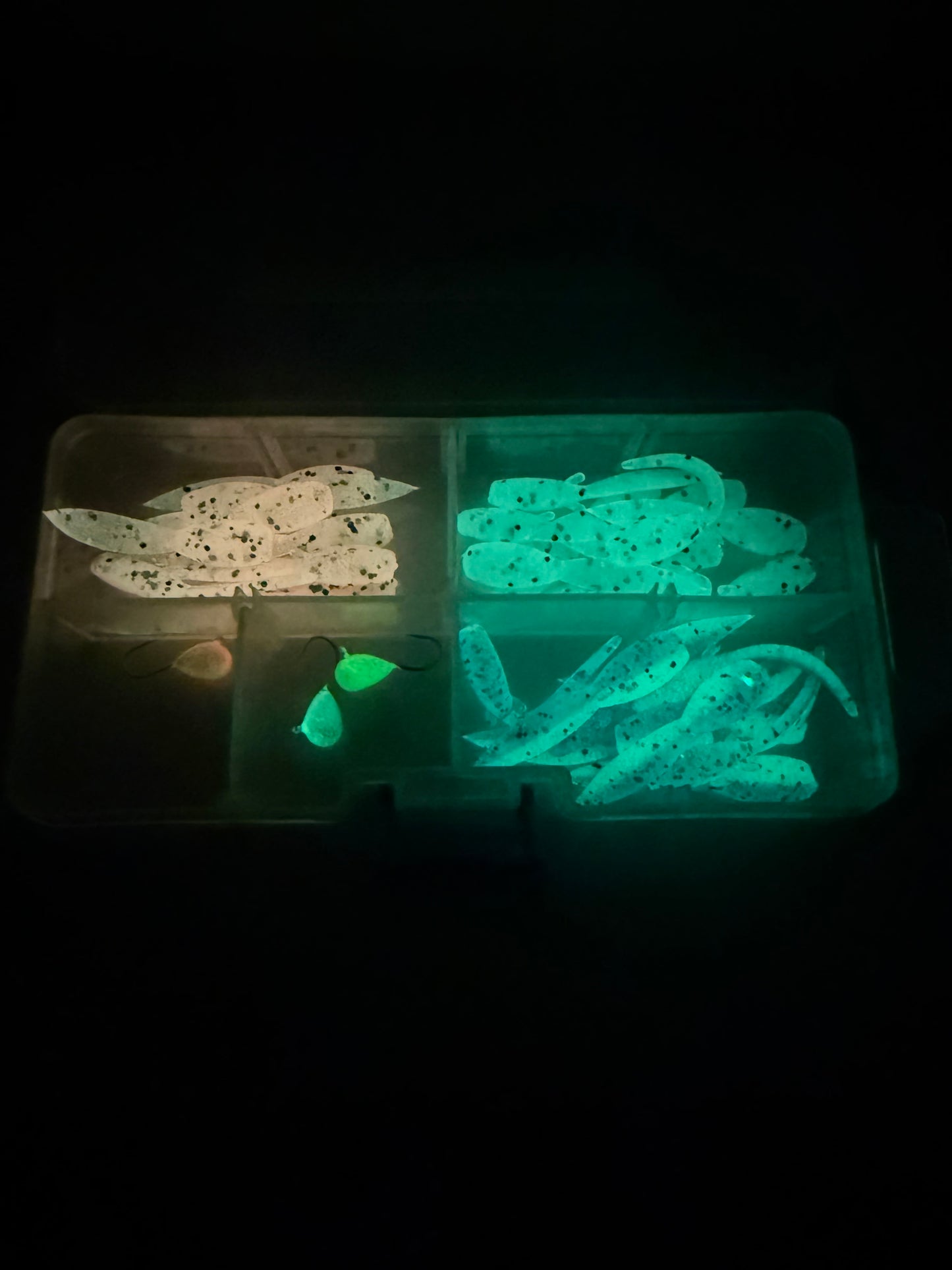 2025 Glow in the Dark Holiday Tadpole Kit